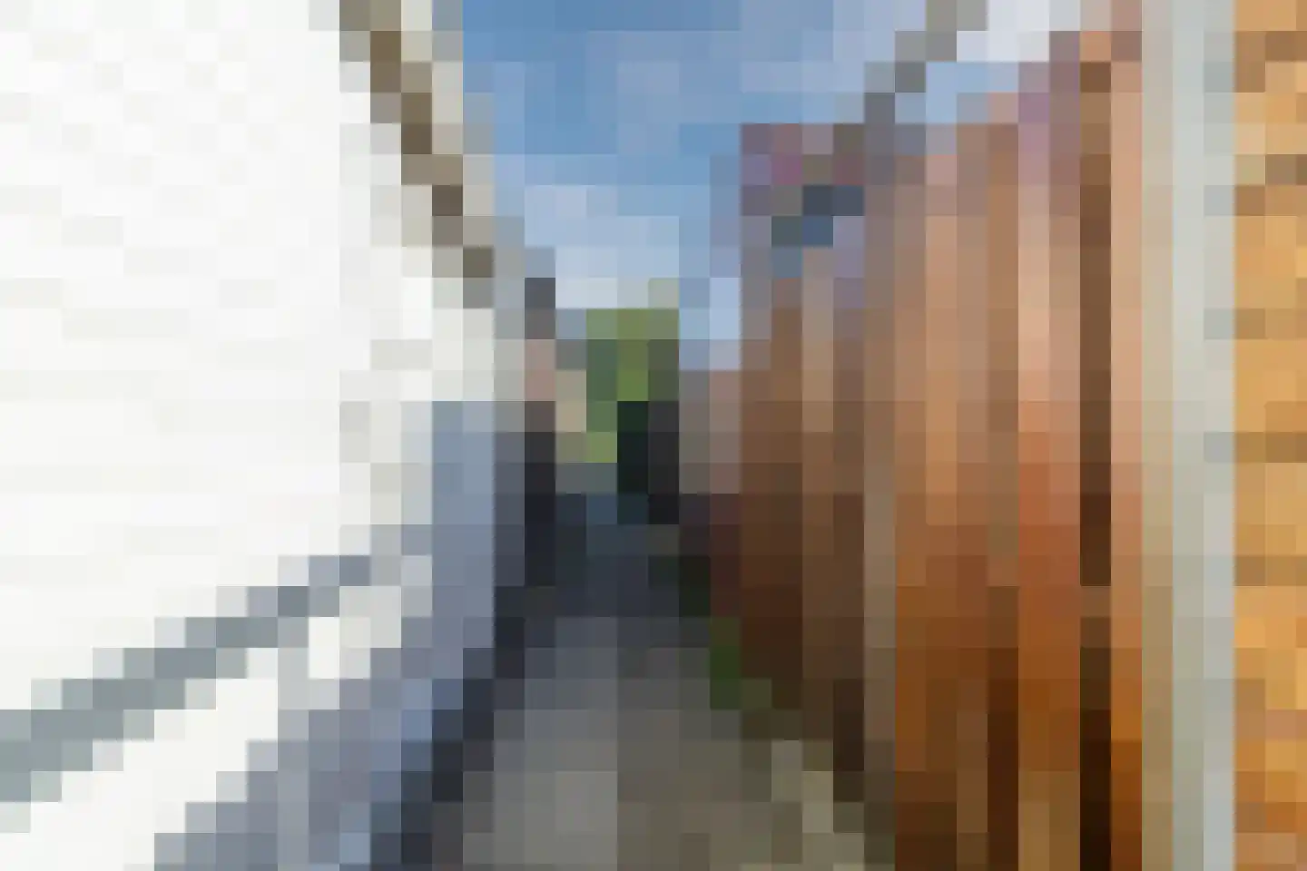 Leeuwerikerf 5 Voorschoten thumbnail 33