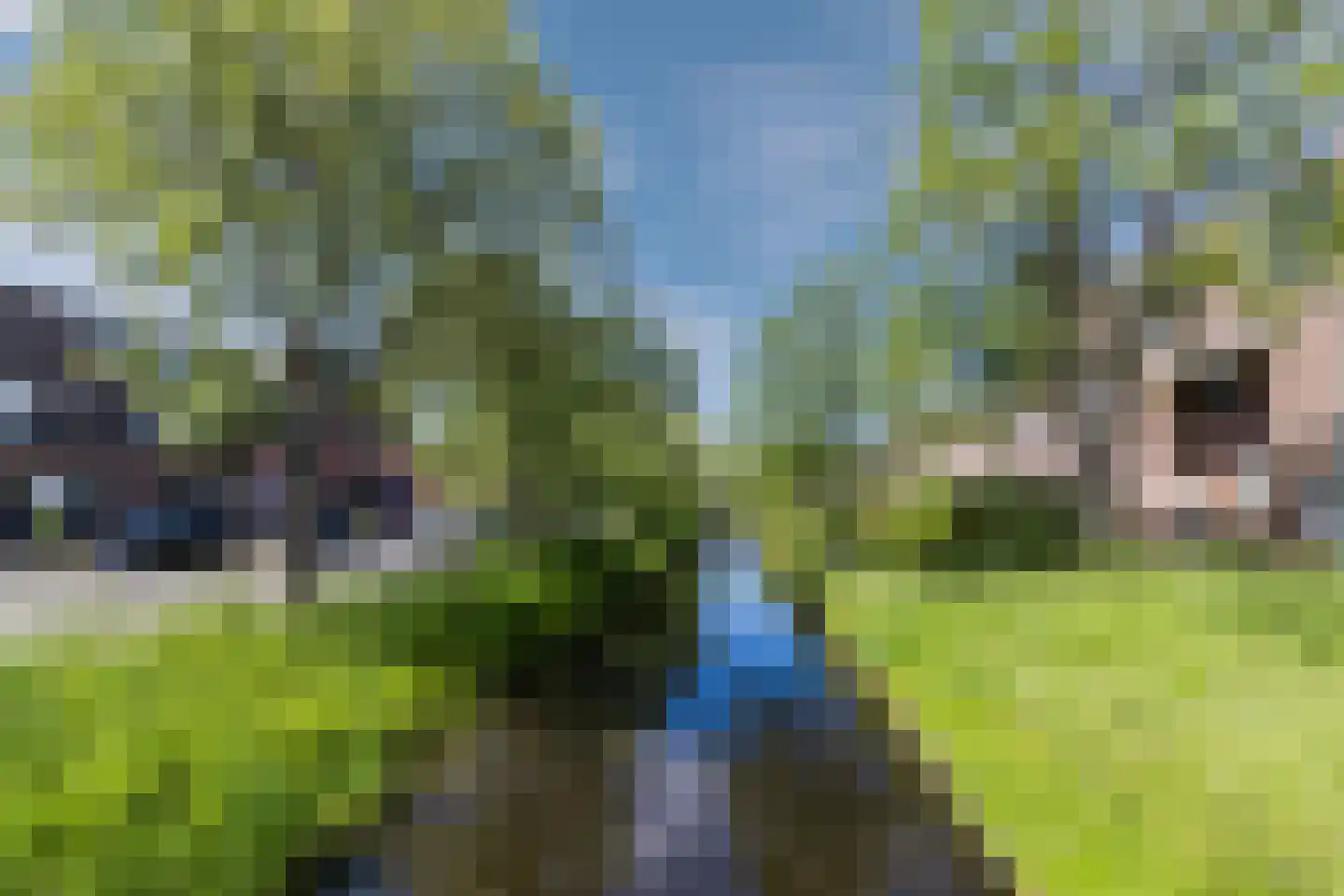 Leeuwerikerf 5 Voorschoten thumbnail 34