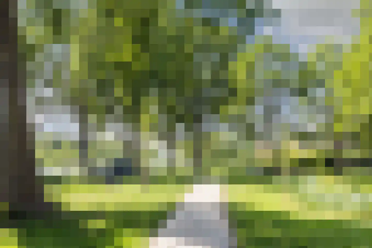 Leeuwerikerf 5 Voorschoten thumbnail 37
