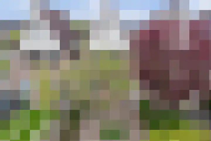 Leeuwerikhof 2 in Moordrecht