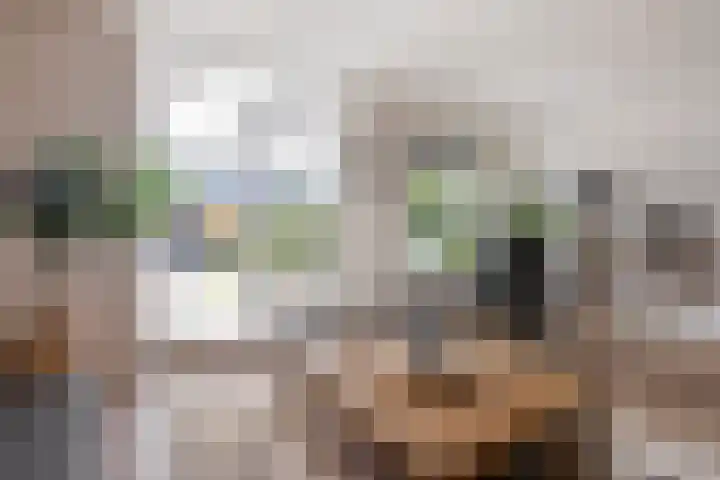 Leeuwerikhof 20 Ten Boer thumbnail 10