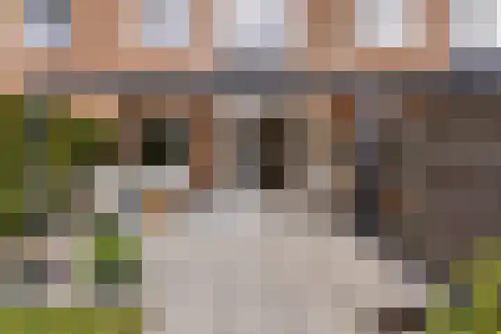 Leeuwerikhof 20 Ten Boer thumbnail 11