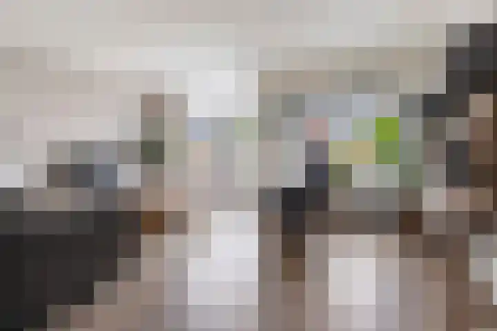 Leeuwerikhof 20 Ten Boer thumbnail 12