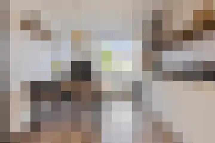 Leeuwerikhof 20 Ten Boer thumbnail 16