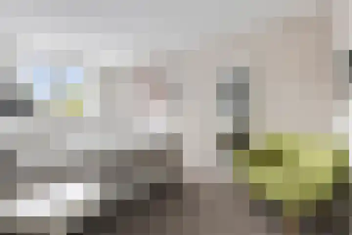 Leeuwerikhof 20 Ten Boer thumbnail 24