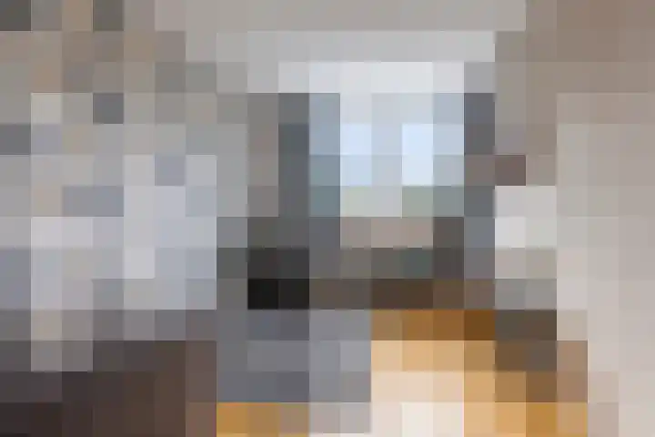 Leeuwerikhof 20 Ten Boer thumbnail 26