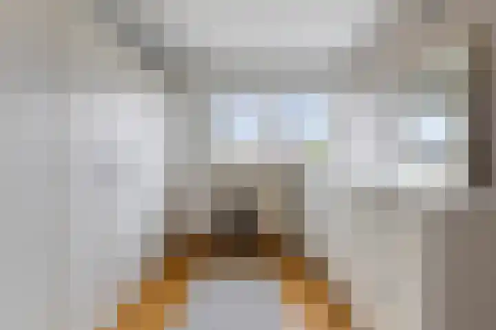 Leeuwerikhof 20 Ten Boer thumbnail 27