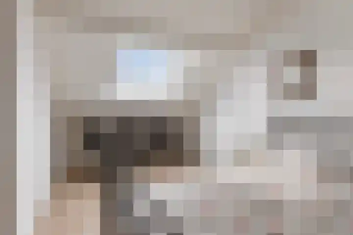 Leeuwerikhof 20 Ten Boer thumbnail 31