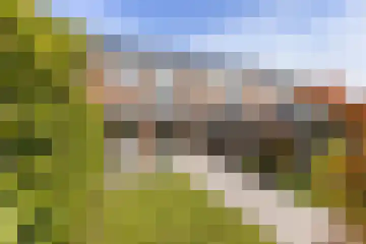 Leeuwerikhof 20 Ten Boer thumbnail 33