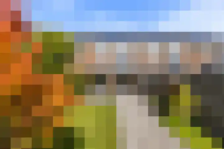 Leeuwerikhof 20 Ten Boer thumbnail 34