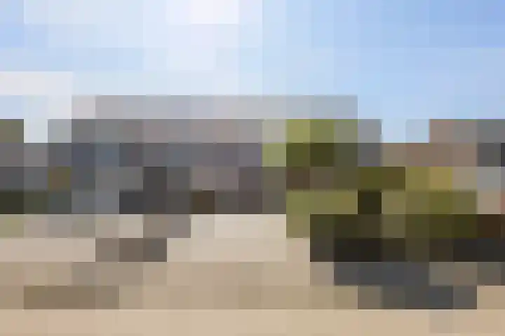 Leeuwerikhof 20 Ten Boer thumbnail 37