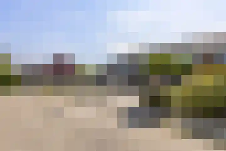 Leeuwerikhof 20 Ten Boer thumbnail 39