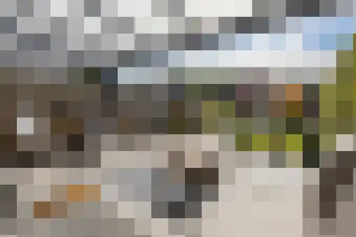 Leeuwerikhof 20 Ten Boer thumbnail 4
