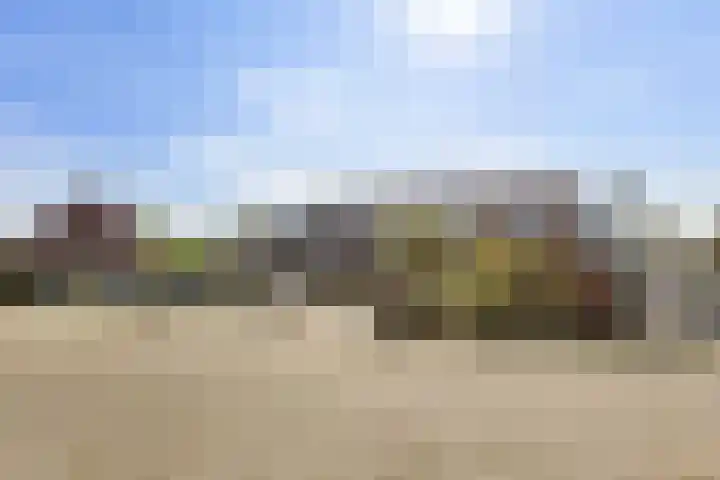 Leeuwerikhof 20 Ten Boer thumbnail 41