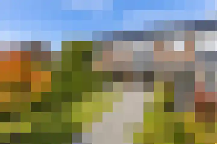 Leeuwerikhof 20 Ten Boer thumbnail 48