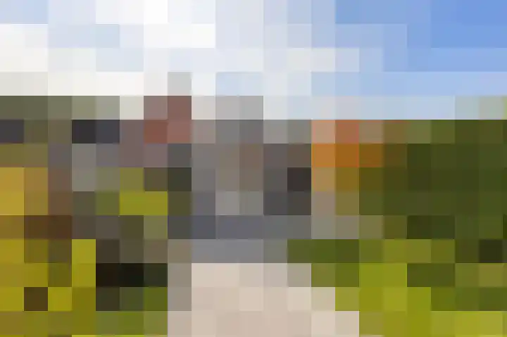 Leeuwerikhof 20 Ten Boer thumbnail 5