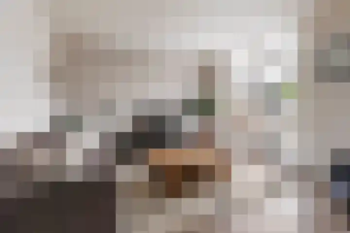 Leeuwerikhof 20 Ten Boer thumbnail 9