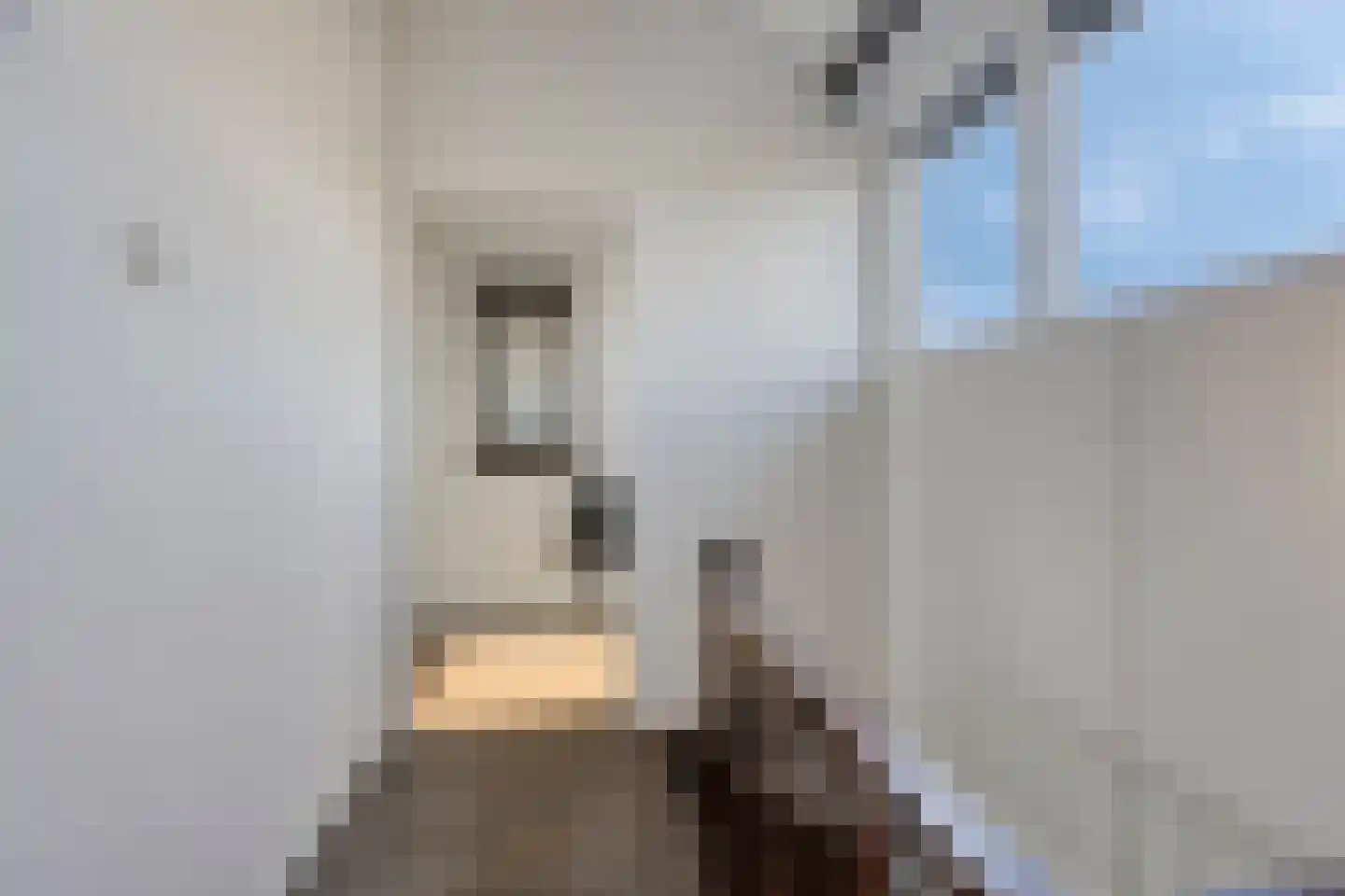 Leeuwerikhof 23 Roelofarendsveen thumbnail 17