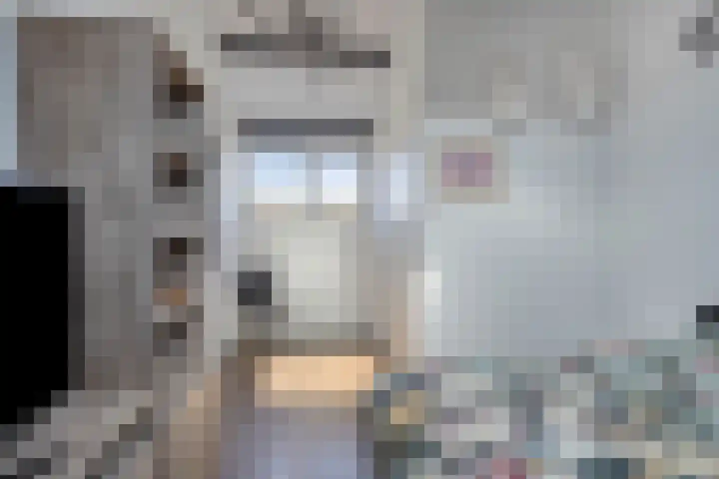 Leeuwerikhof 23 Roelofarendsveen thumbnail 19