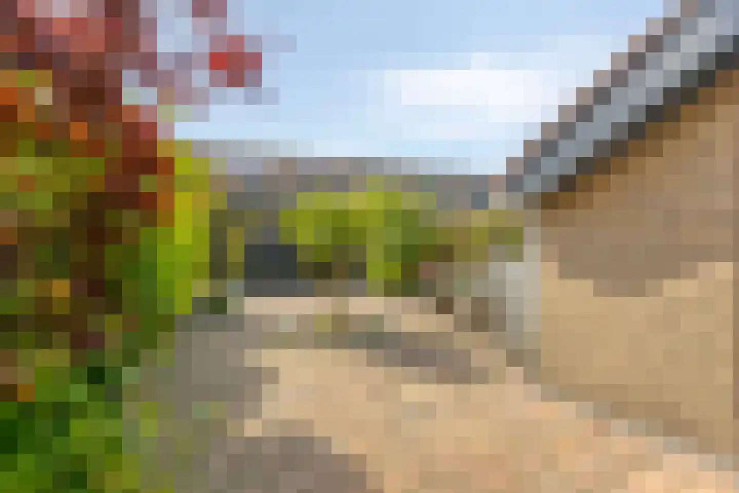 Leeuwerikhof 23 Roelofarendsveen thumbnail 20