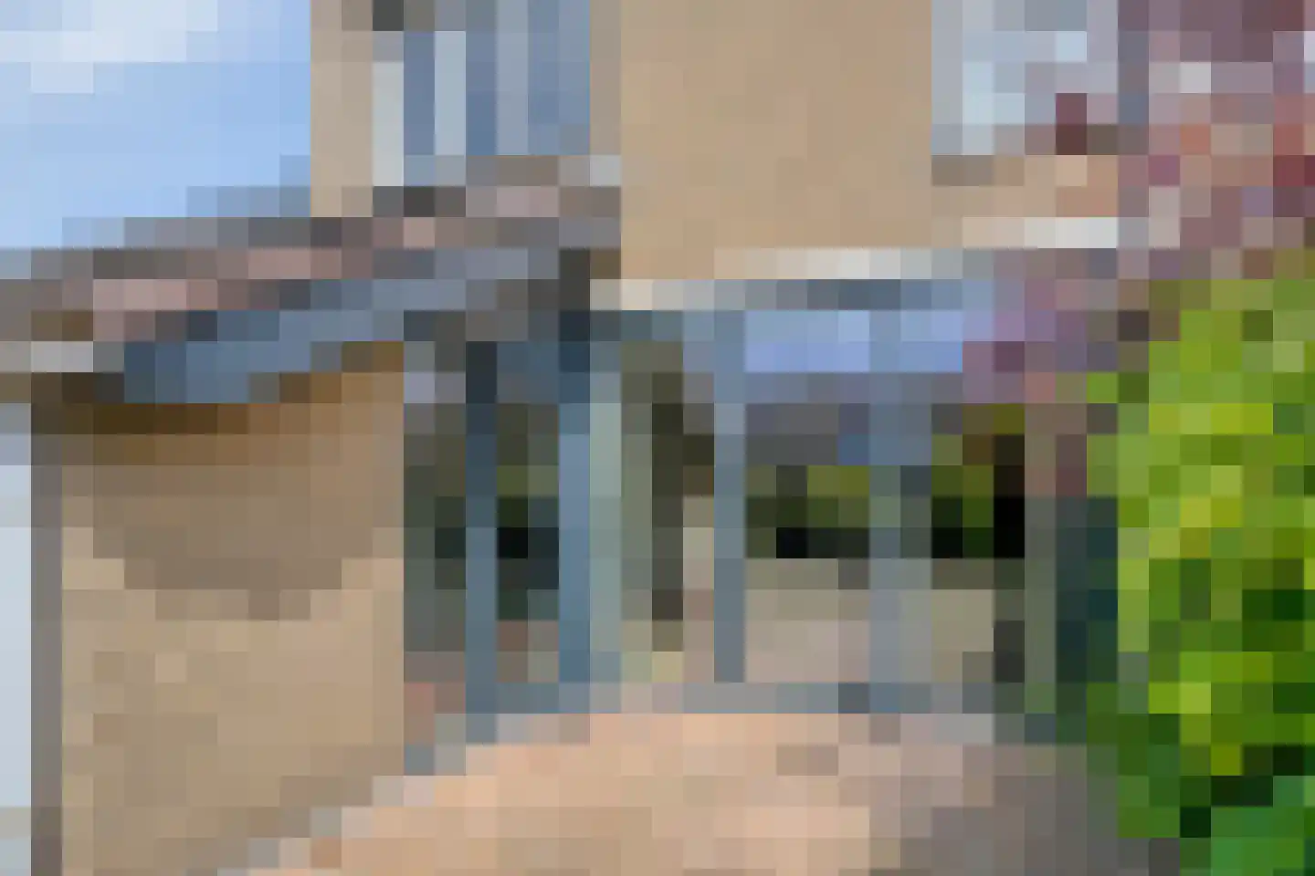 Leeuwerikhof 23 Roelofarendsveen thumbnail 21