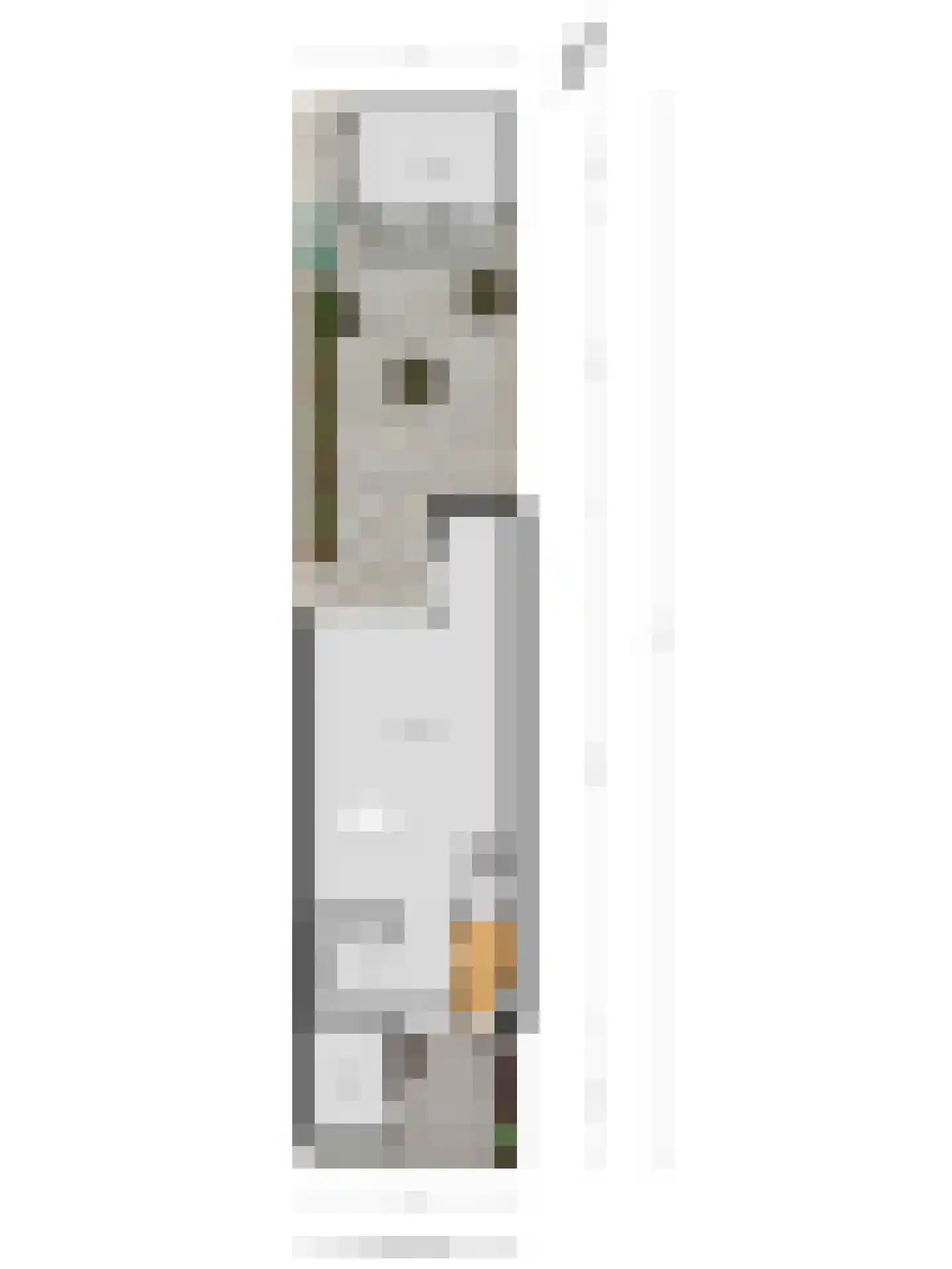 Leeuwerikhof 23 Roelofarendsveen thumbnail 25