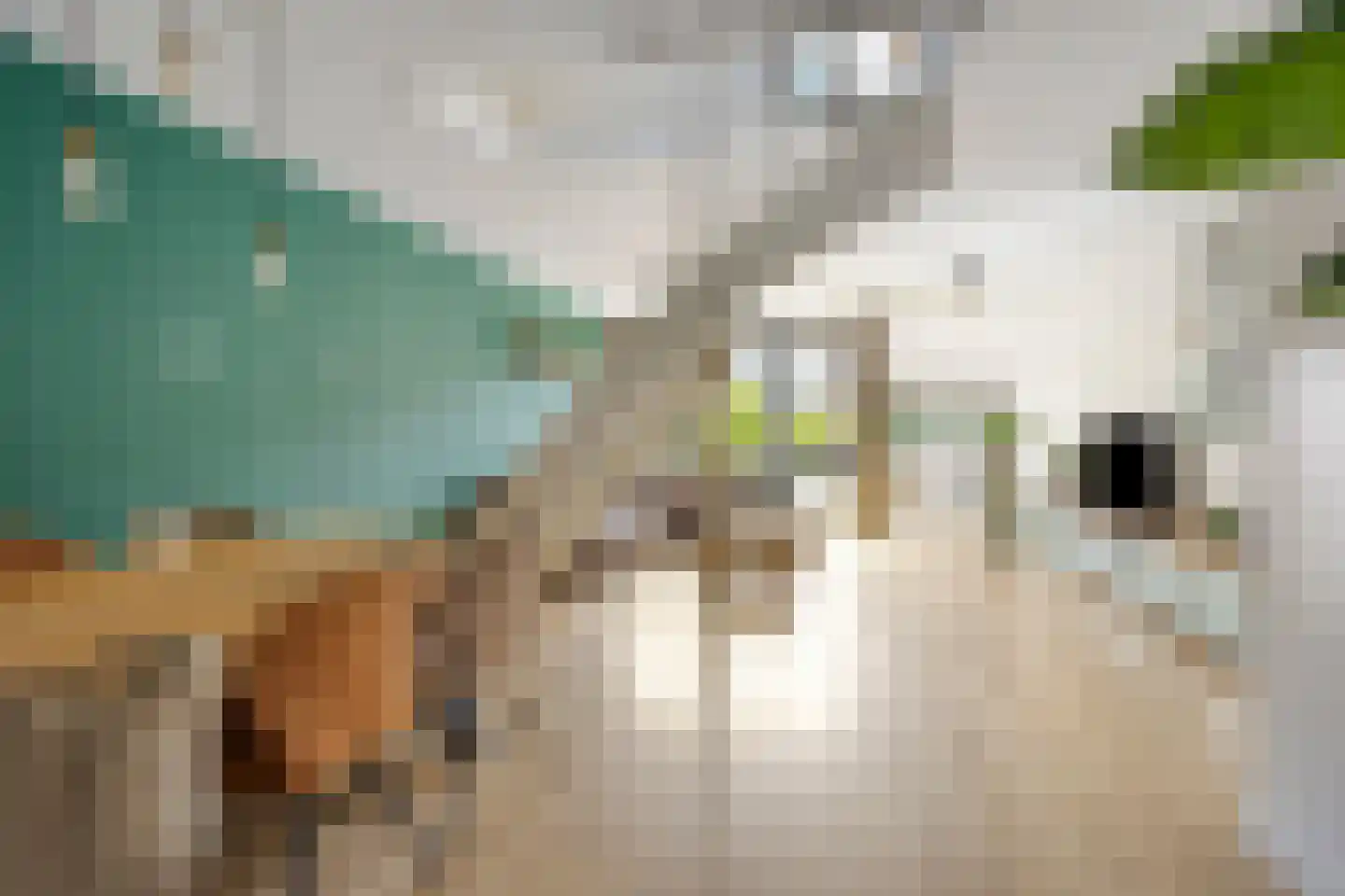 Leeuwerikhof 23 Roelofarendsveen thumbnail 6
