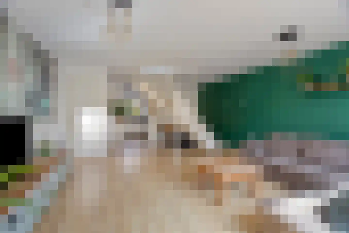 Leeuwerikhof 23 Roelofarendsveen thumbnail 7