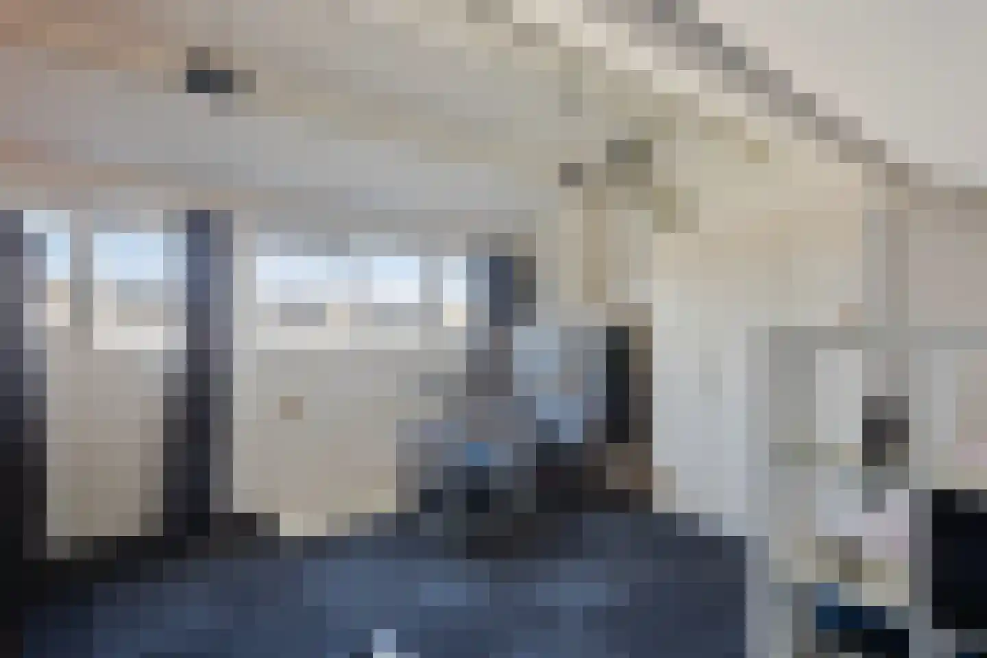 Leeuwerikhof 32 Roelofarendsveen thumbnail 13