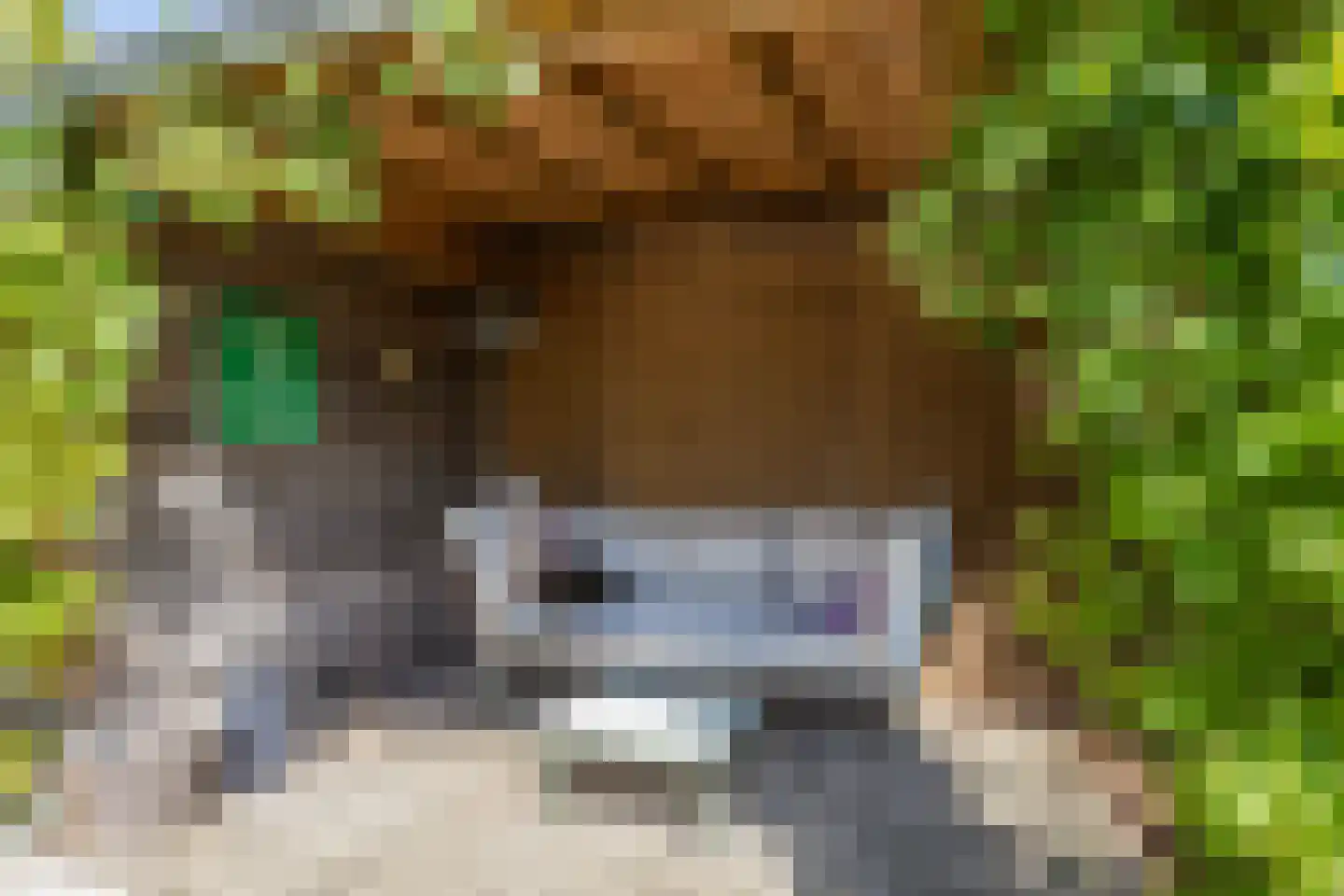 Leeuwerikhof 32 Roelofarendsveen thumbnail 15
