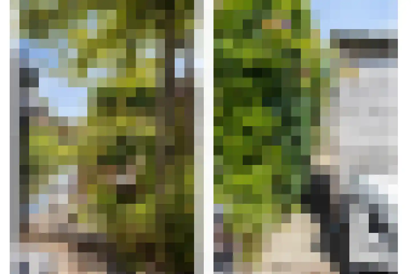 Leeuwerikhof 32 Roelofarendsveen thumbnail 16