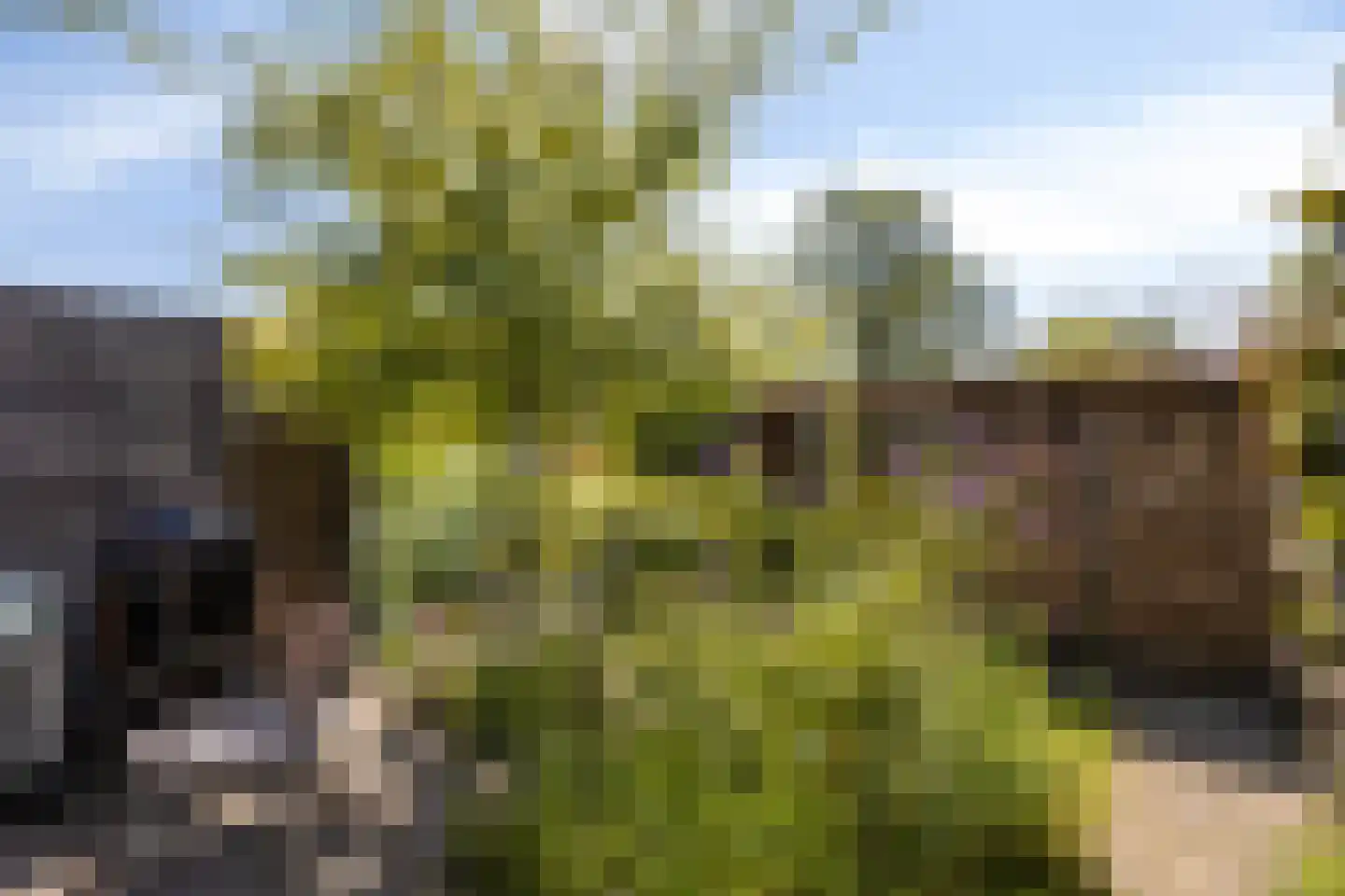Leeuwerikhof 32 Roelofarendsveen thumbnail 17