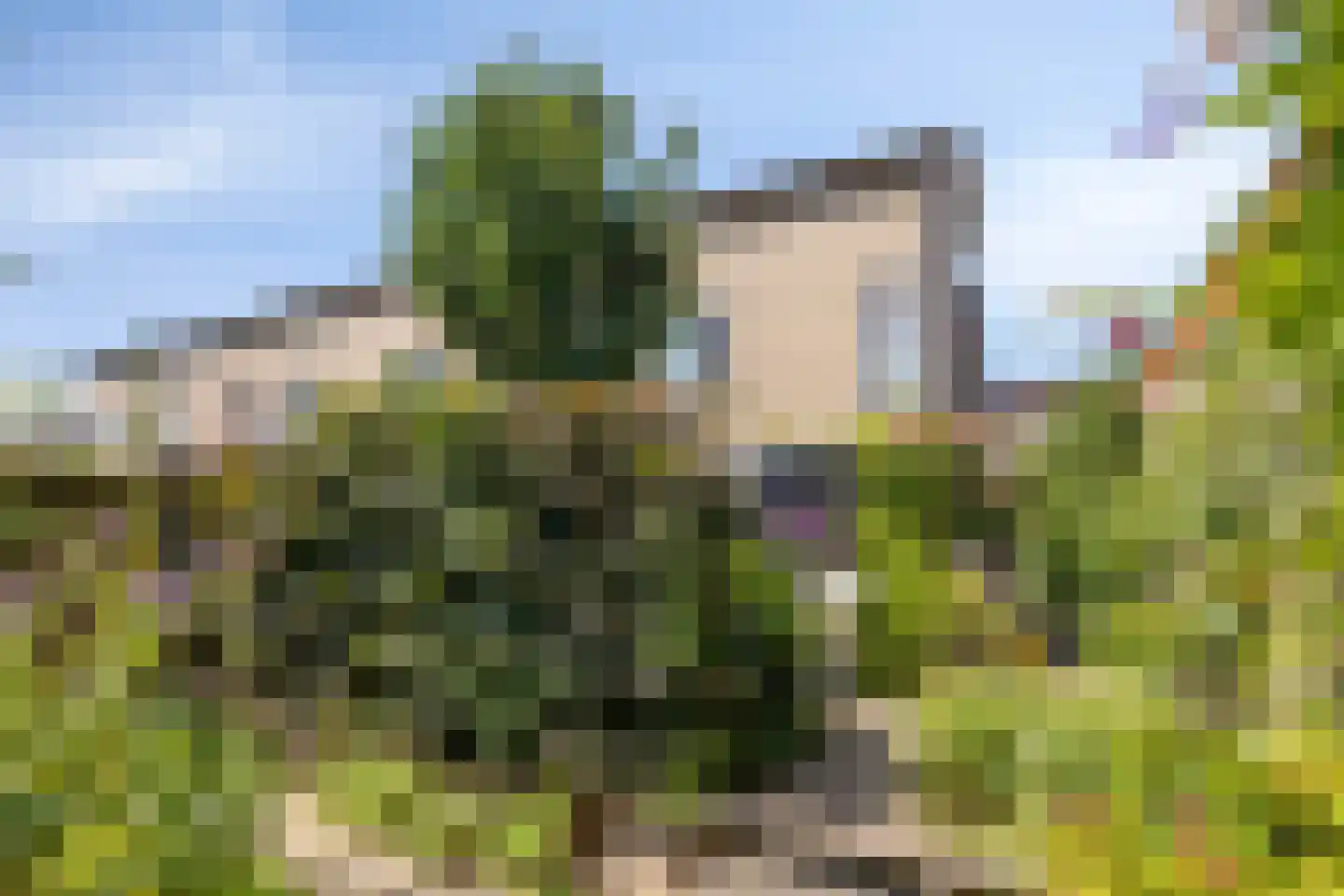 Leeuwerikhof 32 Roelofarendsveen thumbnail 20