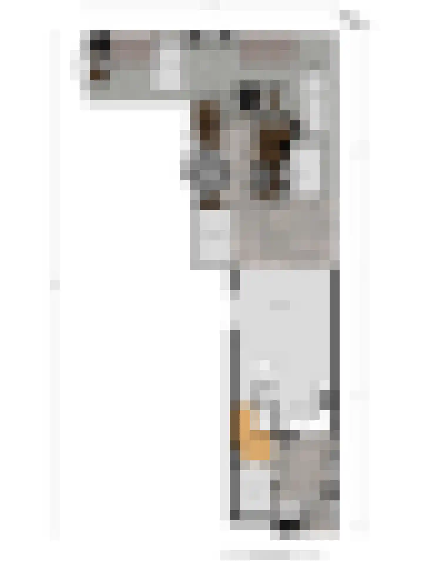 Leeuwerikhof 32 Roelofarendsveen thumbnail 27