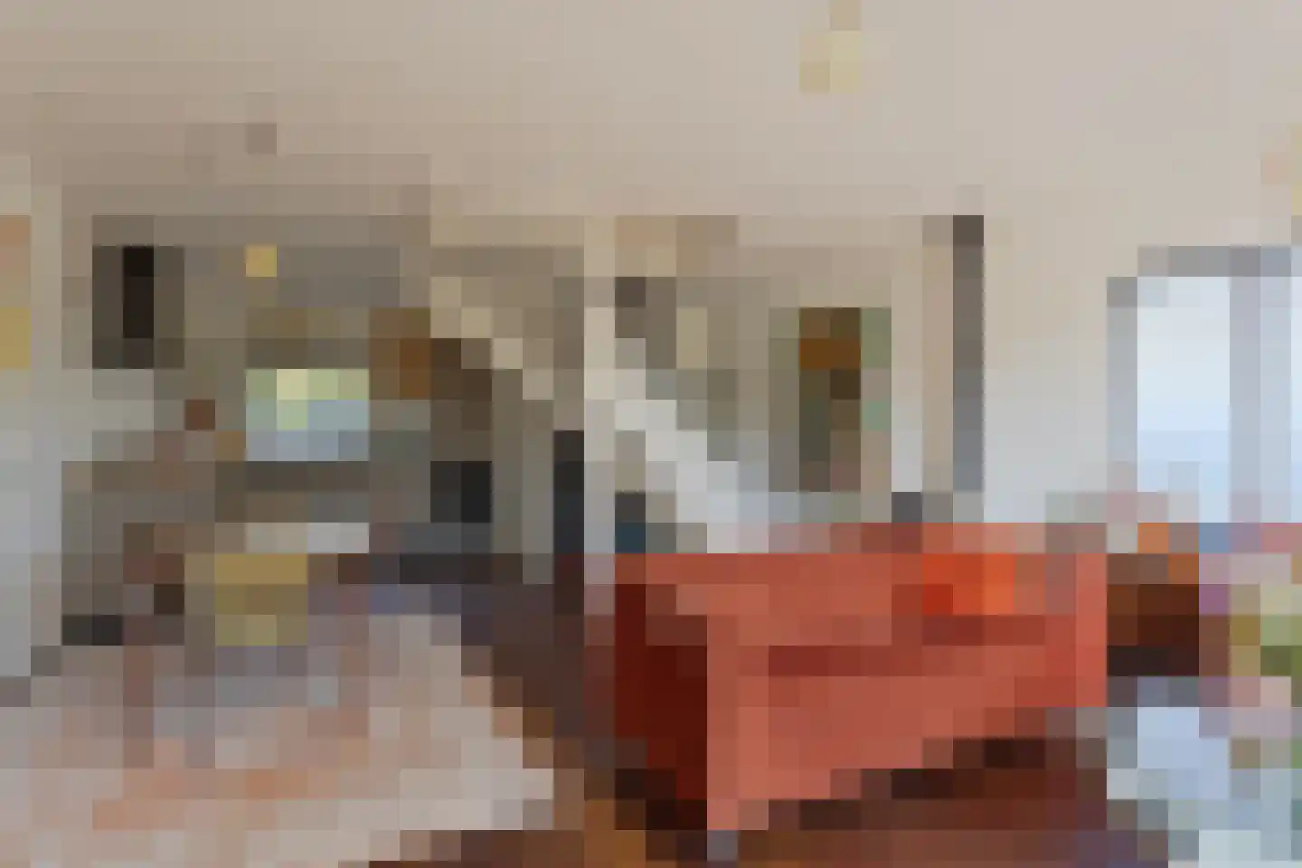 Leeuwerikhof 32 Roelofarendsveen thumbnail 4