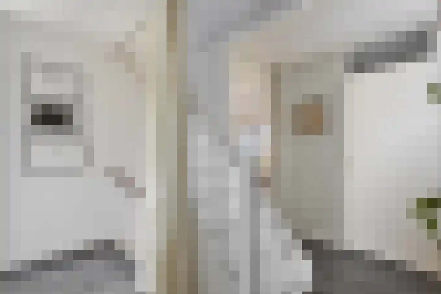 Leeuwerikhof 32 Roelofarendsveen thumbnail 7