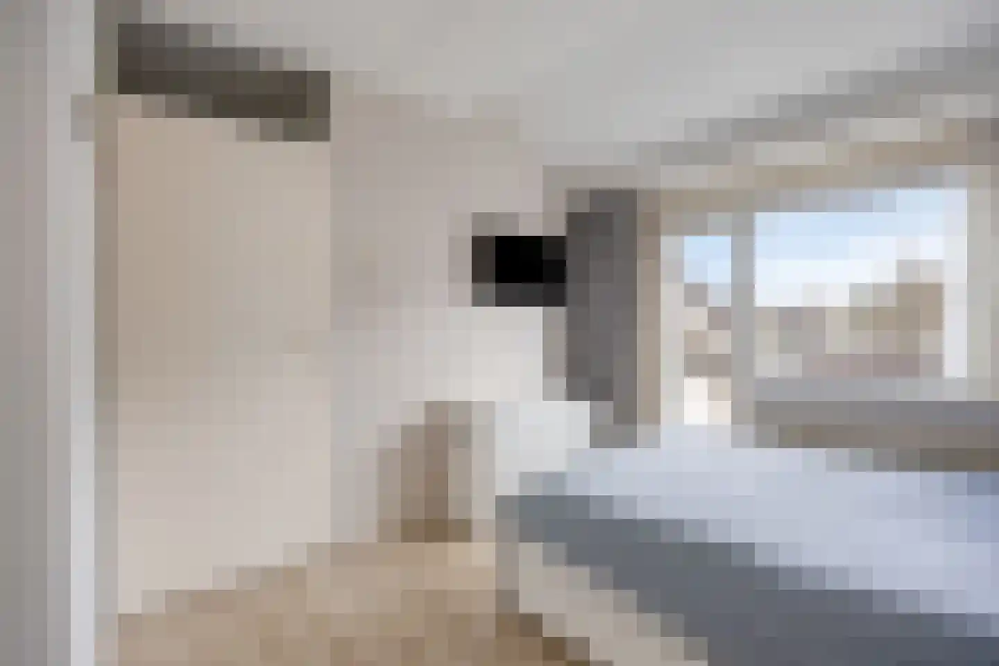 Leeuwerikhof 33 Roelofarendsveen thumbnail 14