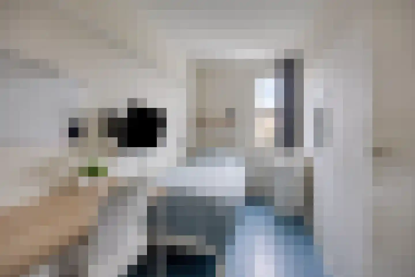 Leeuwerikhof 33 Roelofarendsveen thumbnail 15