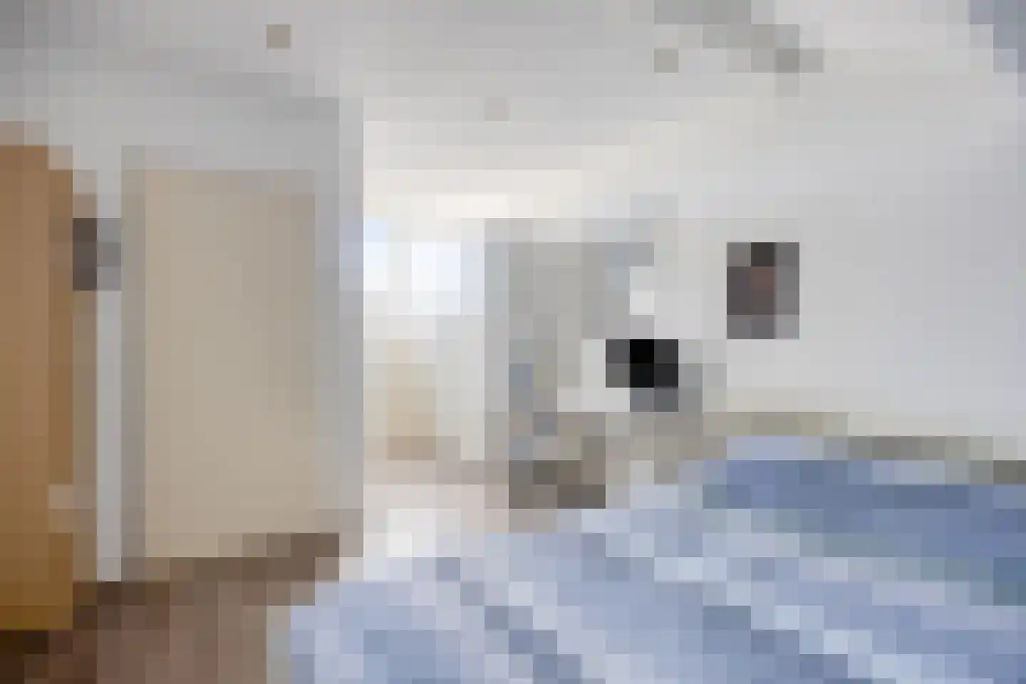 Leeuwerikhof 33 Roelofarendsveen thumbnail 17