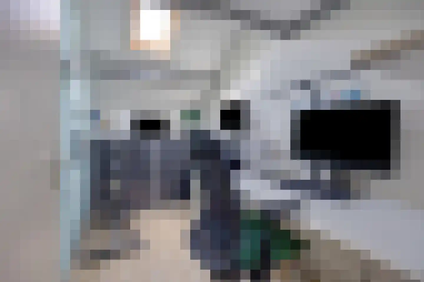 Leeuwerikhof 33 Roelofarendsveen thumbnail 18