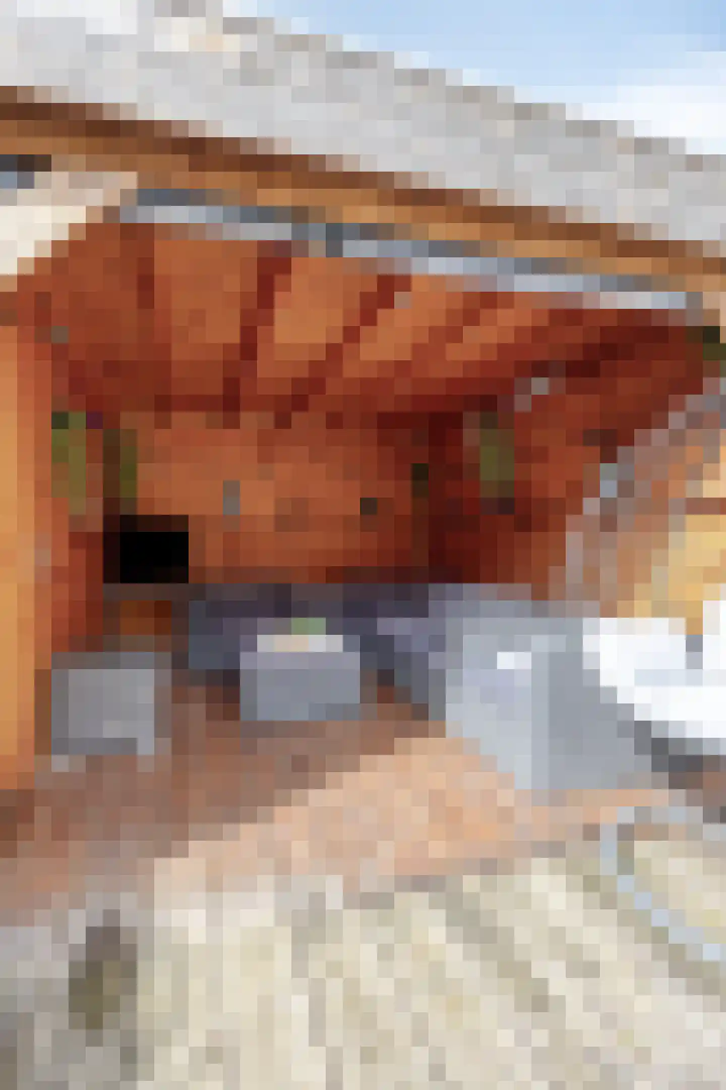 Leeuwerikhof 33 Roelofarendsveen thumbnail 20