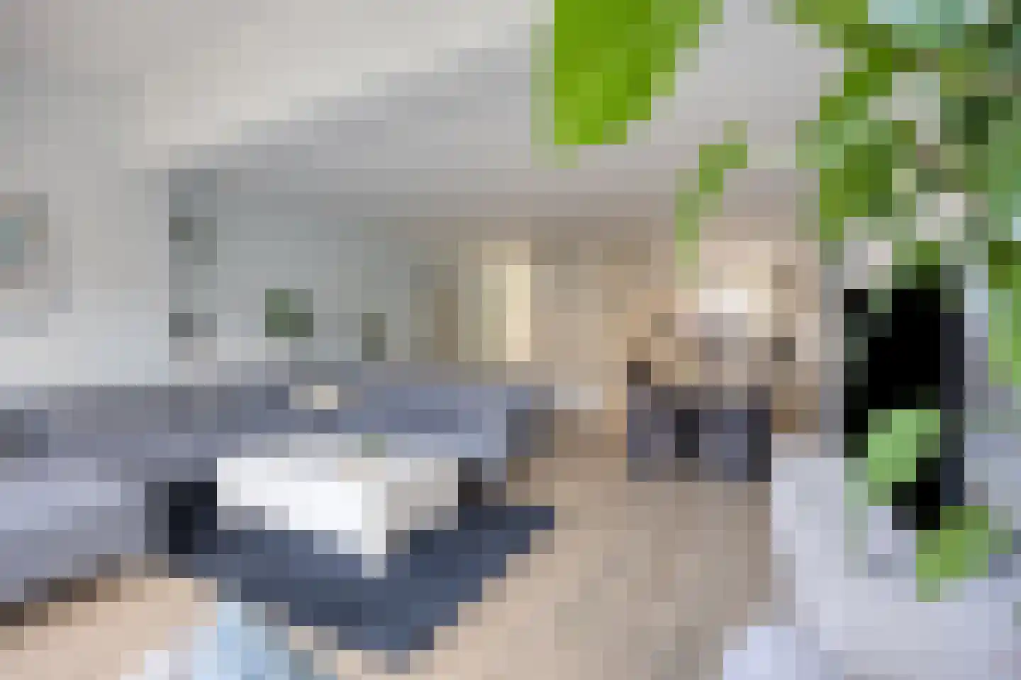 Leeuwerikhof 33 Roelofarendsveen thumbnail 5