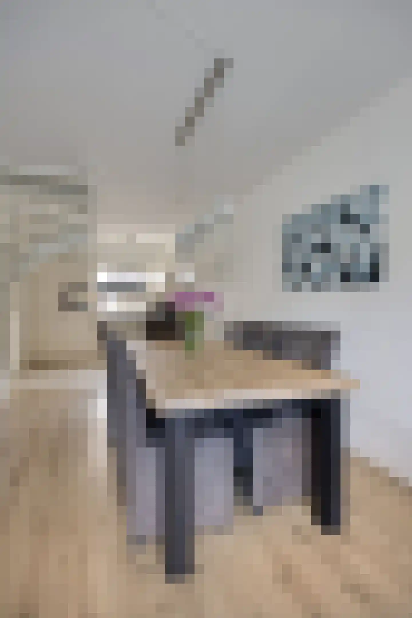 Leeuwerikhof 33 Roelofarendsveen thumbnail 6