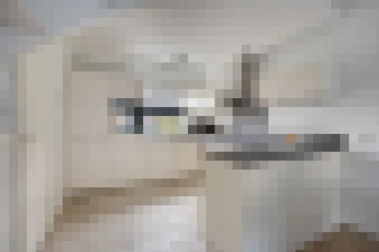 Leeuwerikhof 33 Roelofarendsveen thumbnail 9