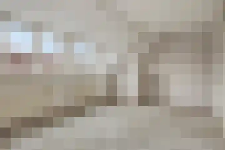 Leeuwerikhof 9 Lekkerkerk thumbnail 12