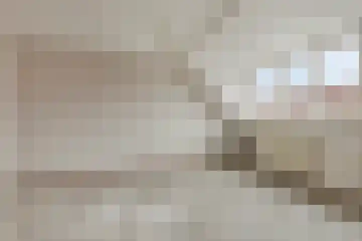 Leeuwerikhof 9 Lekkerkerk thumbnail 13
