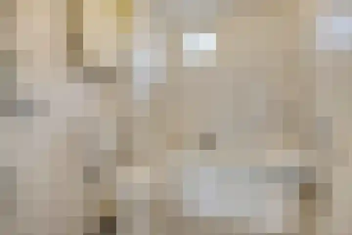 Leeuwerikhof 9 Lekkerkerk thumbnail 18