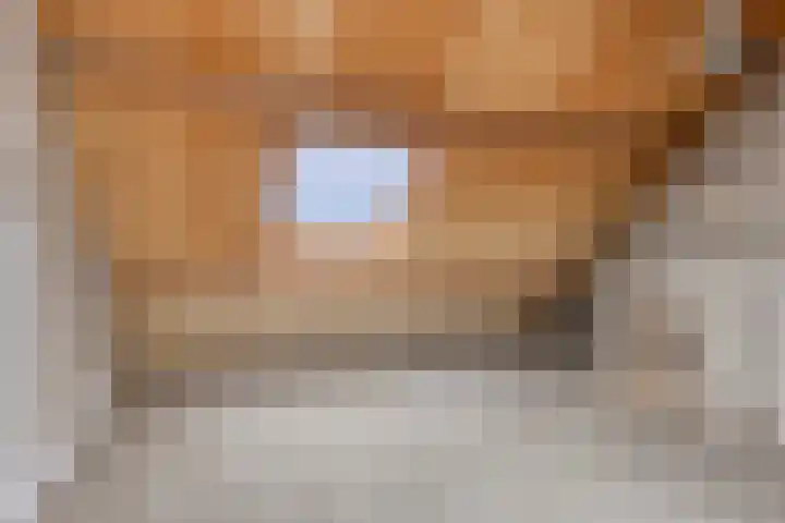 Leeuwerikhof 9 Lekkerkerk thumbnail 19