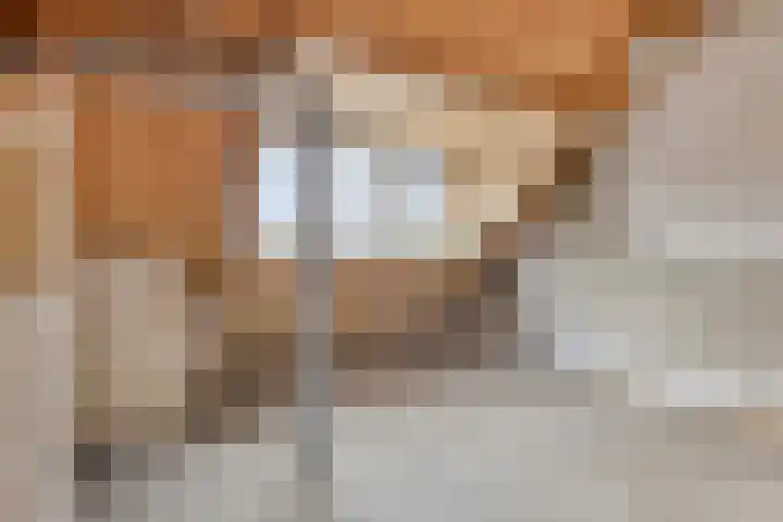 Leeuwerikhof 9 Lekkerkerk thumbnail 20