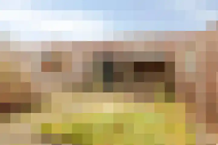Leeuwerikhof 9 Lekkerkerk thumbnail 21